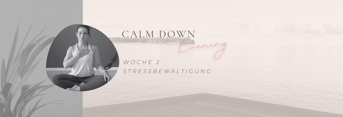 Rise & Flow Club (3) Course overview post